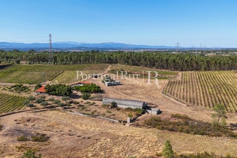 Landejendom i Castelo Branco, Castelo Branco, Castelo Branco - € 730.000 | Ref: FG36 - foto 15