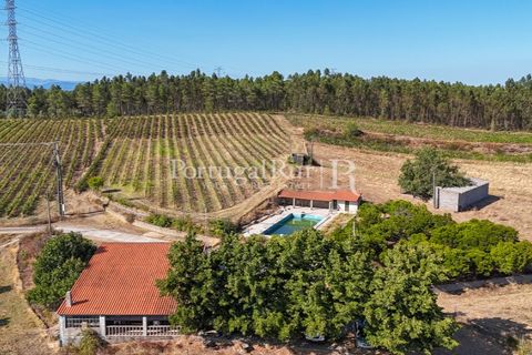 Landejendom i Castelo Branco, Castelo Branco, Castelo Branco - € 730.000 | Ref: FG36 - foto 16