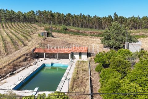 Landejendom i Castelo Branco, Castelo Branco, Castelo Branco - € 730.000 | Ref: FG36 - foto 17