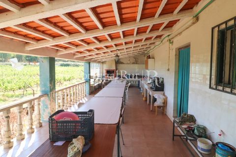 Landejendom i Castelo Branco, Castelo Branco, Castelo Branco - € 730.000 | Ref: FG36 - foto 18