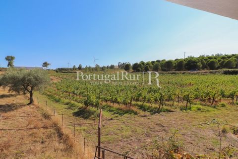 Landejendom i Castelo Branco, Castelo Branco, Castelo Branco - € 730.000 | Ref: FG36 - foto 19