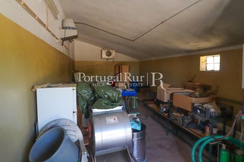 Landejendom i Castelo Branco, Castelo Branco, Castelo Branco - € 730.000 | Ref: FG36 - foto 26
