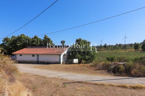 Landejendom i Castelo Branco, Castelo Branco, Castelo Branco - € 730.000 | Ref: FG36 - foto 29