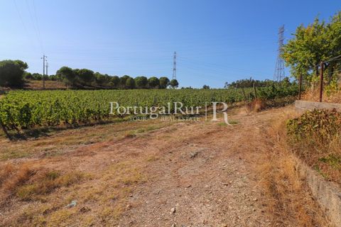 Landejendom i Castelo Branco, Castelo Branco, Castelo Branco - € 730.000 | Ref: FG36 - foto 30