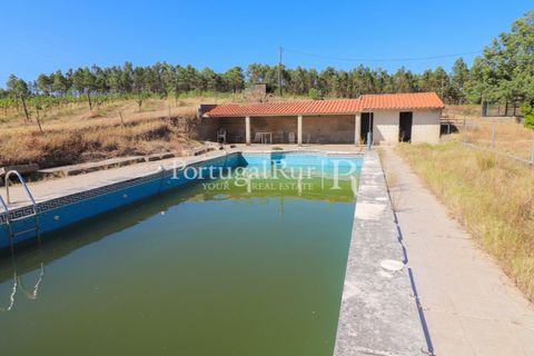 Landejendom i Castelo Branco, Castelo Branco, Castelo Branco - € 730.000 | Ref: FG36 - foto 31