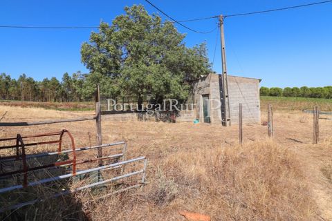 Landejendom i Castelo Branco, Castelo Branco, Castelo Branco - € 730.000 | Ref: FG36 - foto 35