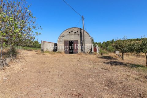 Landejendom i Castelo Branco, Castelo Branco, Castelo Branco - € 730.000 | Ref: FG36 - foto 36