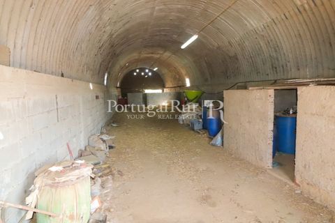 Landejendom i Castelo Branco, Castelo Branco, Castelo Branco - € 730.000 | Ref: FG36 - foto 37