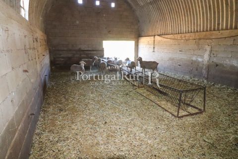 Landejendom i Castelo Branco, Castelo Branco, Castelo Branco - € 730.000 | Ref: FG36 - foto 38