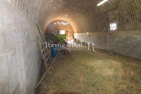 Landejendom i Castelo Branco, Castelo Branco, Castelo Branco - € 730.000 | Ref: FG36 - foto 39