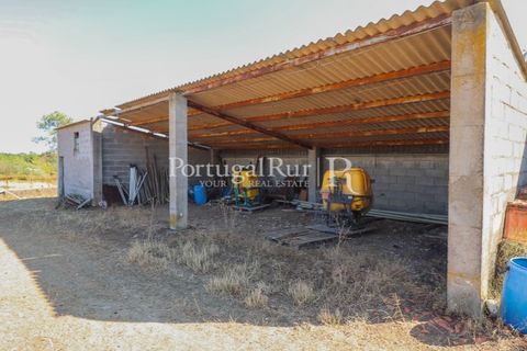 Landejendom i Castelo Branco, Castelo Branco, Castelo Branco - € 730.000 | Ref: FG36 - foto 40