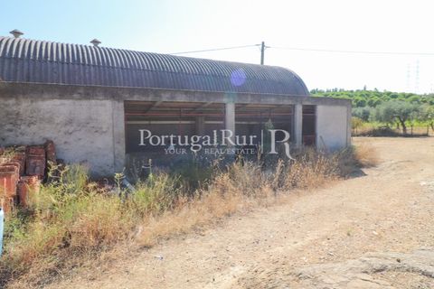 Landejendom i Castelo Branco, Castelo Branco, Castelo Branco - € 730.000 | Ref: FG36 - foto 41