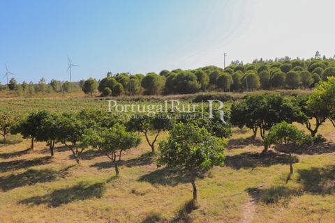 Landejendom i Castelo Branco, Castelo Branco, Castelo Branco - € 730.000 | Ref: FG36 - foto 43