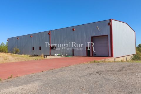 Landejendom i Castelo Branco, Castelo Branco, Castelo Branco - € 730.000 | Ref: FG36 - foto 50