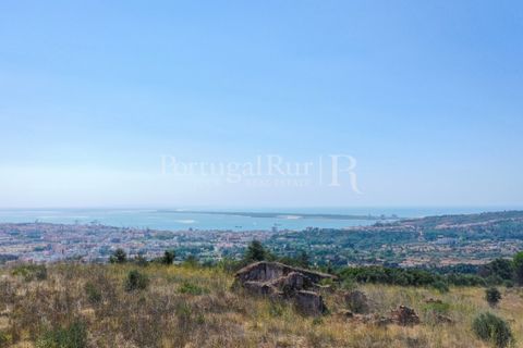 Farm i Palmela, Setubal, Palmela - € 1.600.000 | Ref: TG3285 - foto 2
