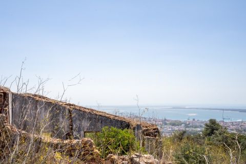 Farm i Palmela, Setubal, Palmela - € 1.600.000 | Ref: TG3285 - foto 3