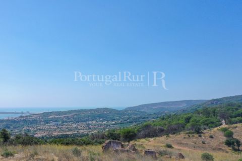 Farm i Palmela, Setubal, Palmela - € 1.600.000 | Ref: TG3285 - foto 4