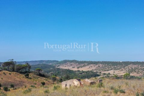 Farm i Palmela, Setubal, Palmela - € 1.600.000 | Ref: TG3285 - foto 1