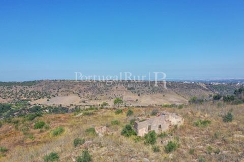 Farm i Palmela, Setubal, Palmela - € 1.600.000 | Ref: TG3285 - foto 5