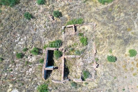 Farm i Palmela, Setubal, Palmela - € 1.600.000 | Ref: TG3285 - foto 6