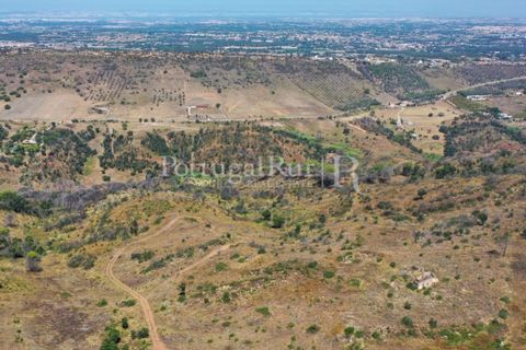 Farm i Palmela, Setubal, Palmela - € 1.600.000 | Ref: TG3285 - foto 7