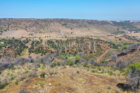Farm i Palmela, Setubal, Palmela - € 1.600.000 | Ref: TG3285 - foto 8