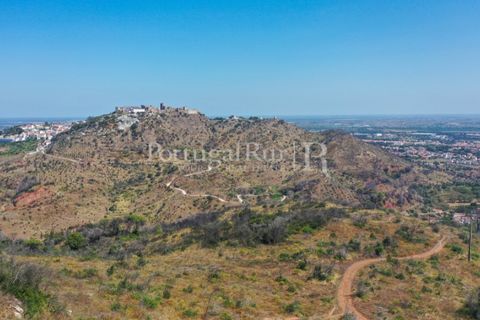 Farm i Palmela, Setubal, Palmela - € 1.600.000 | Ref: TG3285 - foto 9
