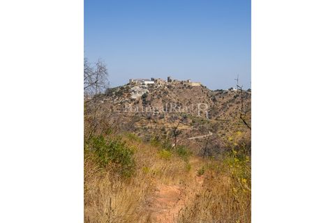 Farm i Palmela, Setubal, Palmela - € 1.600.000 | Ref: TG3285 - foto 10