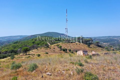Farm i Palmela, Setubal, Palmela - € 1.600.000 | Ref: TG3285 - foto 11