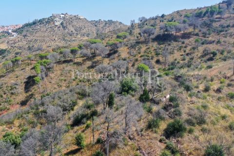 Farm i Palmela, Setubal, Palmela - € 1.600.000 | Ref: TG3285 - foto 12