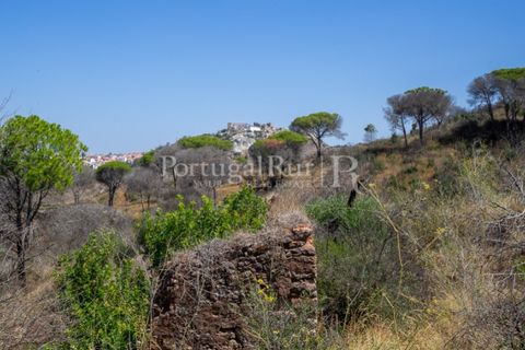 Farm i Palmela, Setubal, Palmela - € 1.600.000 | Ref: TG3285 - foto 13