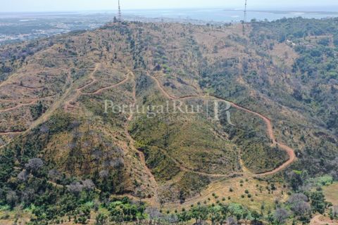 Farm i Palmela, Setubal, Palmela - € 1.600.000 | Ref: TG3285 - foto 15