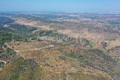 Farm i Palmela, Setubal, Palmela - € 1.600.000 | Ref: TG3285 - foto 16