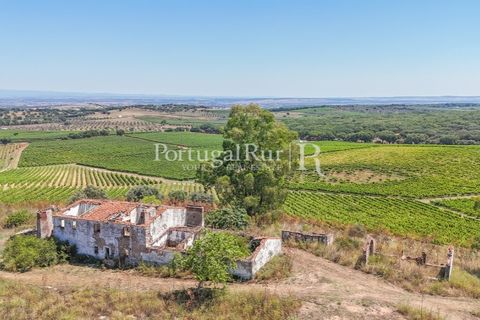 Landejendom i Arcos, Evora, Arcos - € 1.490.000 | Ref: FG446 - foto 2