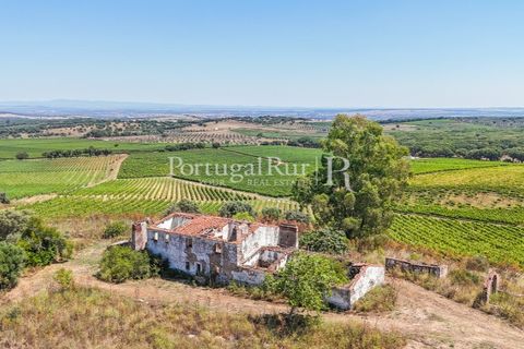 Landejendom i Arcos, Evora, Arcos - € 1.490.000 | Ref: FG446 - foto 3