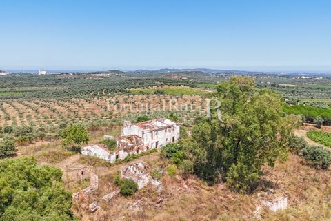 Landejendom i Arcos, Evora, Arcos - € 1.490.000 | Ref: FG446 - foto 4