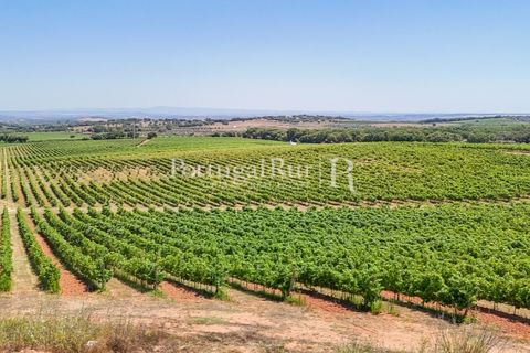 Landejendom i Arcos, Evora, Arcos - € 1.490.000 | Ref: FG446 - foto 5