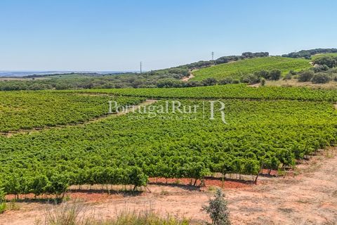 Landejendom i Arcos, Evora, Arcos - € 1.490.000 | Ref: FG446 - foto 6