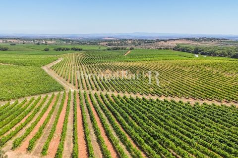Landejendom i Arcos, Evora, Arcos - € 1.490.000 | Ref: FG446 - foto 7