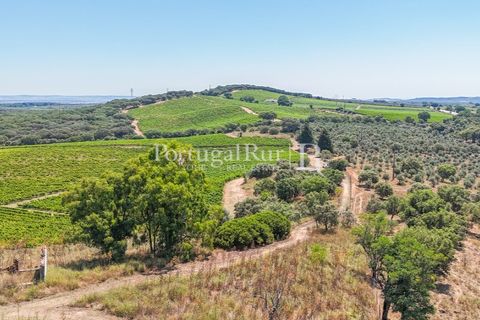 Landejendom i Arcos, Evora, Arcos - € 1.490.000 | Ref: FG446 - foto 8