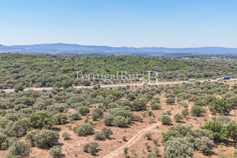 Landejendom i Arcos, Evora, Arcos - € 1.490.000 | Ref: FG446 - foto 9