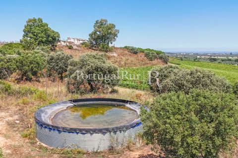 Landejendom i Arcos, Evora, Arcos - € 1.490.000 | Ref: FG446 - foto 10