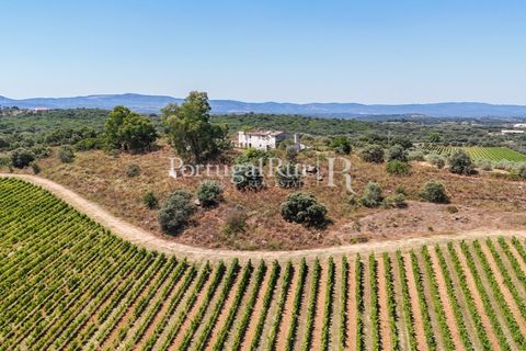 Landejendom i Arcos, Evora, Arcos - € 1.490.000 | Ref: FG446 - foto 11