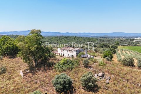 Landejendom i Arcos, Evora, Arcos - € 1.490.000 | Ref: FG446 - foto 12