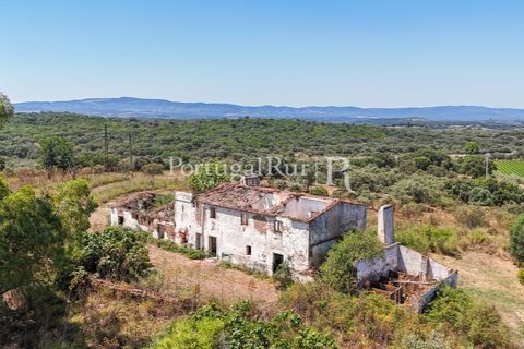 Landejendom i Arcos, Evora, Arcos - € 1.490.000 | Ref: FG446 - foto 13