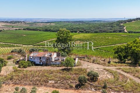 Landejendom i Arcos, Evora, Arcos - € 1.490.000 | Ref: FG446 - foto 14
