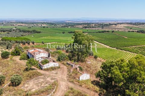 Landejendom i Arcos, Evora, Arcos - € 1.490.000 | Ref: FG446 - foto 15