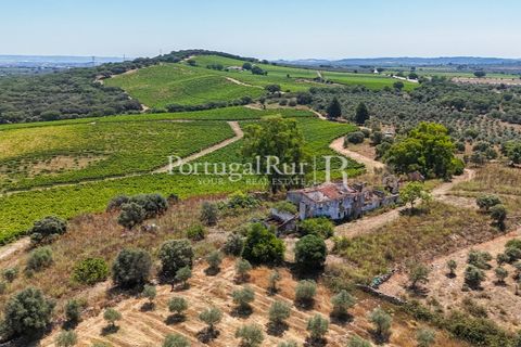 Landejendom i Arcos, Evora, Arcos - € 1.490.000 | Ref: FG446 - foto 16