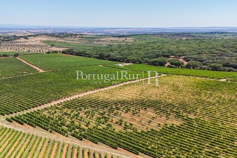 Landejendom i Arcos, Evora, Arcos - € 1.490.000 | Ref: FG446 - foto 17