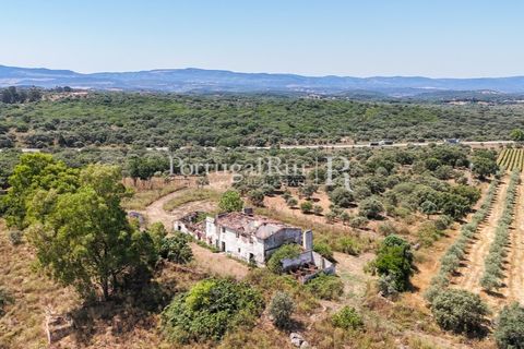 Landejendom i Arcos, Evora, Arcos - € 1.490.000 | Ref: FG446 - foto 18